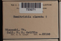 Image Associated With the Occurence
